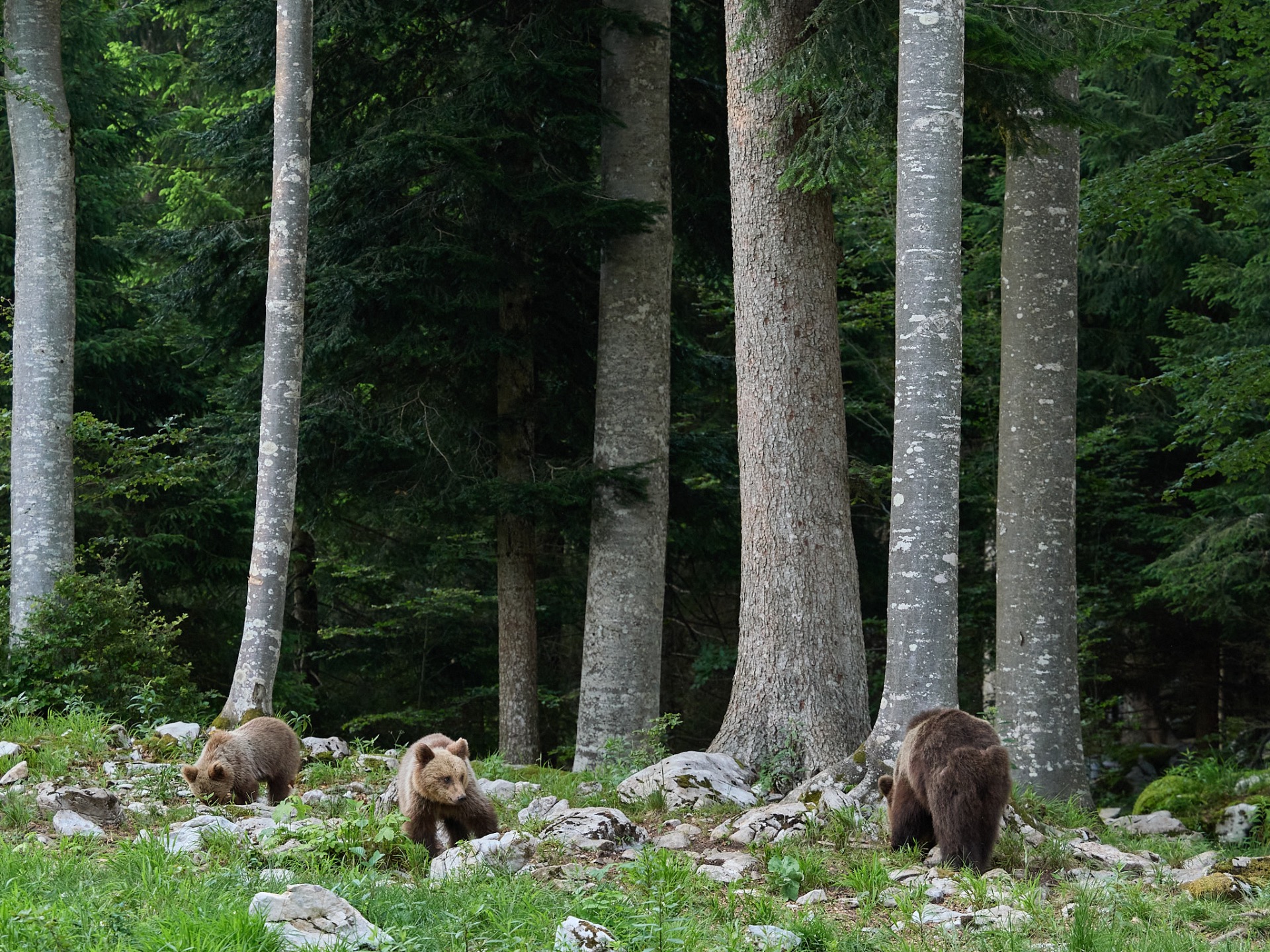 Mother with children (1 Year)